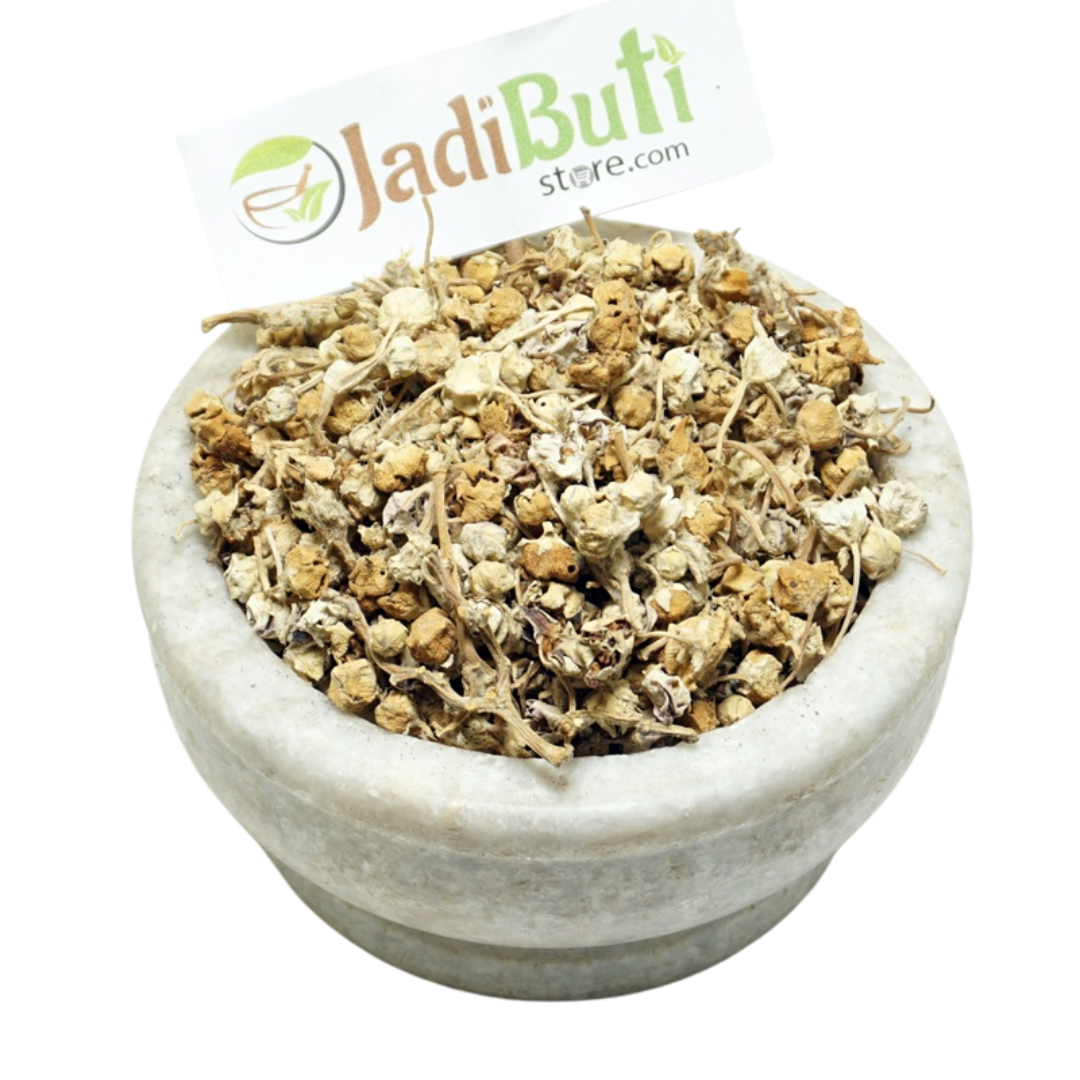 AAK - आक फूल - MADAR - Calotropis Gigantea