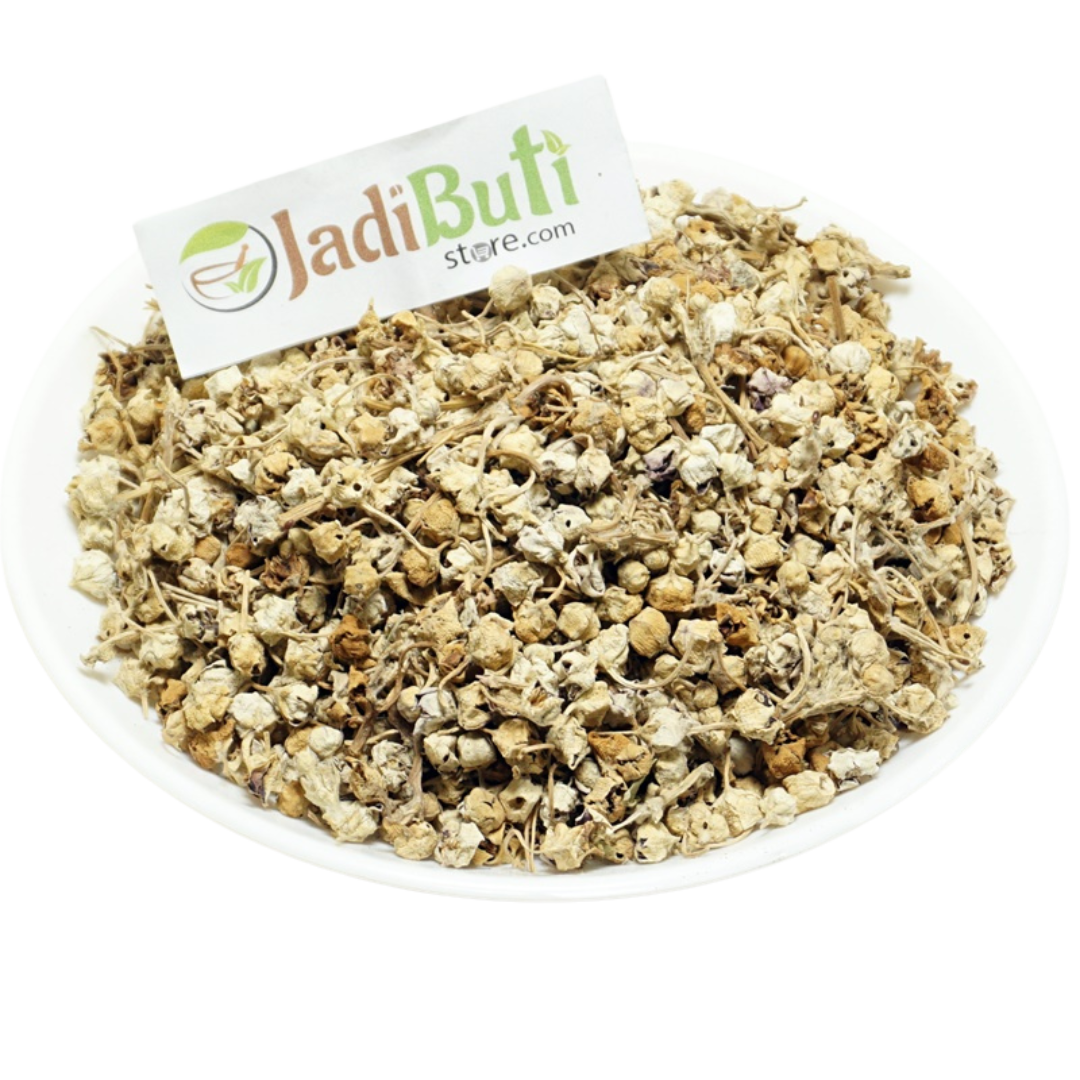 AAK - आक फूल - MADAR - Calotropis Gigantea